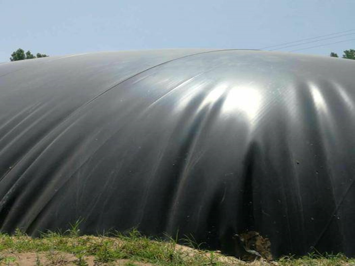 養豬場沼氣池也使用防滲土工膜：